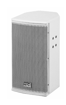 TDS TS106( 两分频 6.5 寸 全音域音箱 )商品主图
